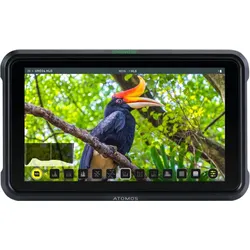 Atomos Shinobi Foto- und Video-Monitor