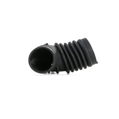 RIDEX Ansaugschlauch, Luftfilter BMW 1591I0010 13711739575