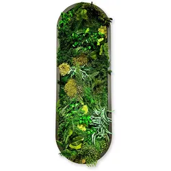 Pflanzenbilder Green Elegance - S (50 x 17 cm)
