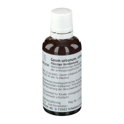 Geum Urbanum D 1 Dilution 50 ml