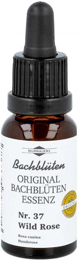Bachblüten Murnauer Tropfen Wild Rose 20ml