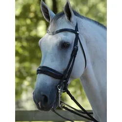 Dyon Kandare Kandarenzaum mit schwedischem Reithalfter, Farbe: black, Größe: Full, Nasenriemen: schwarz/schwarz unterlegt