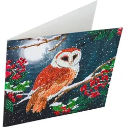 Craft Buddy Barn Owl, 18x18cm Crystal Art Card