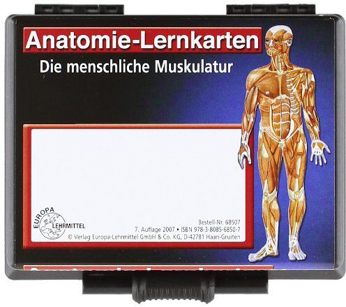 Peter Bauer - Anatomie-Lernkarten. Die menschliche Muskulatur: Anatomie, Funktion, Innervation - Preis vom 09.10.2026 07:28:09 h