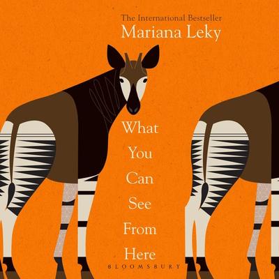 What You Can See From Here - Mariana Leky, Audio, 9781526680877