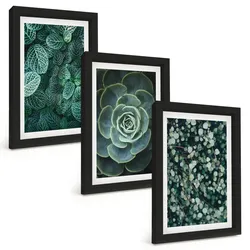 BILDER SET 3er Set - 20x30 cm Schwarzer Rahmen - Sukkulenten