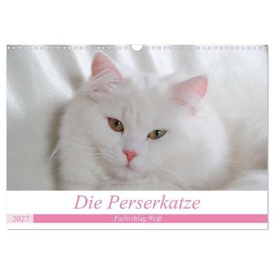 Die Perserkatze - Farbschlag Weiß (Wandkalender 2027 DIN A3 quer), CALVENDO Monatskalender