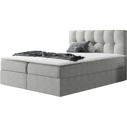 BOXBETT Rico - H3