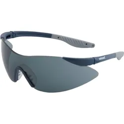 ARDON Schutzbrille V7100 Rauch (Getönt) - Sonnenschutz EN172 - Verstellbar & Beschlagfrei