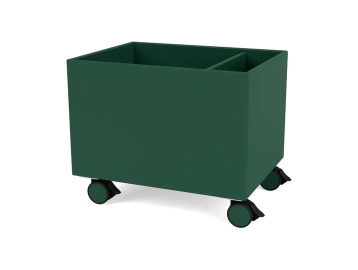 Montana Colour Box II Pine