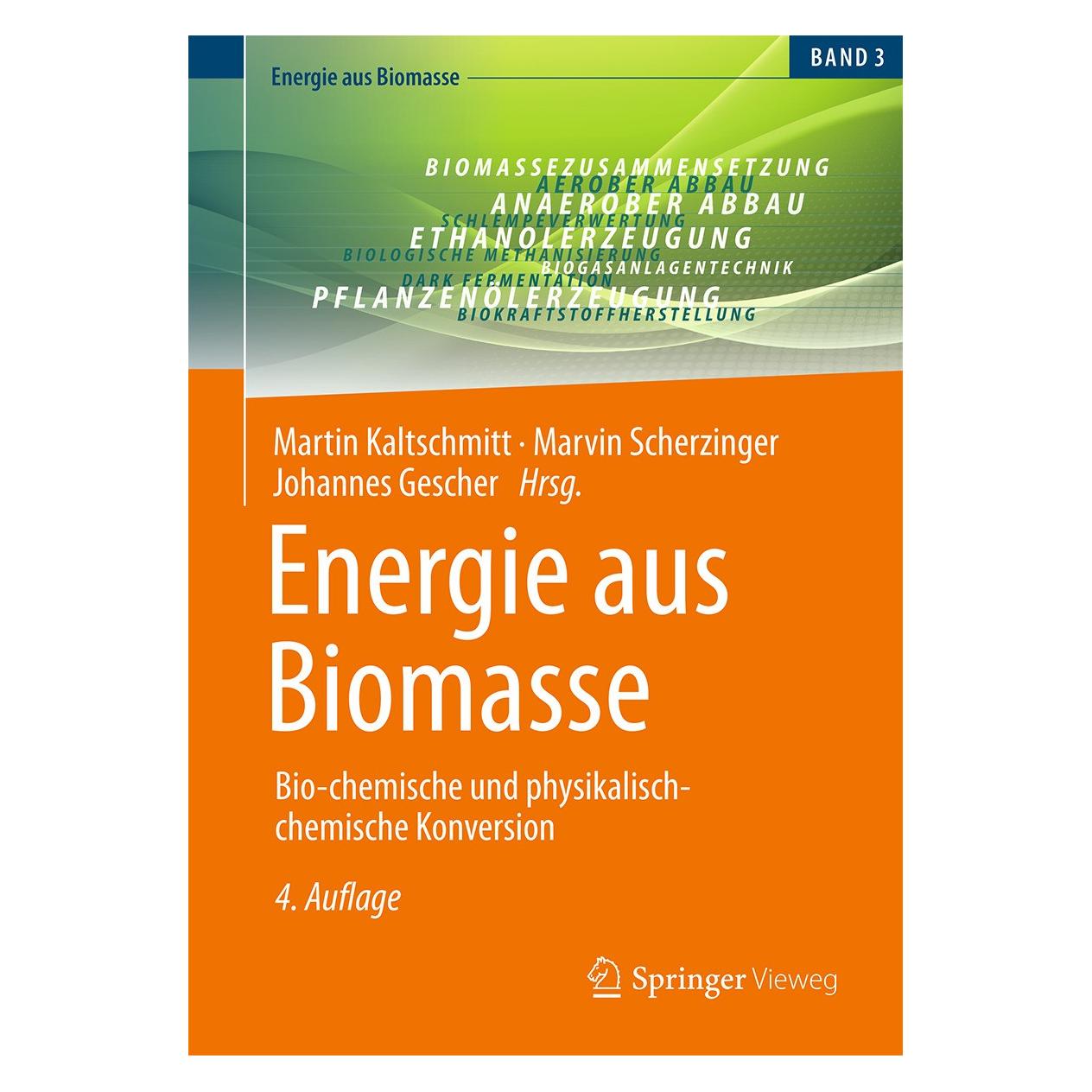 Vieweg & Teubner Energie aus Biomasse (Deutsch, Hardcover, Johannes Gescher, Martin Kaltschmitt, Marvin Scherzinger) (9783658413859)