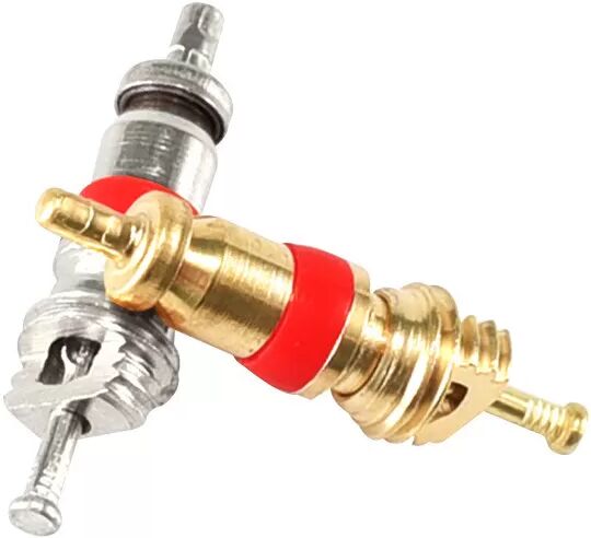 INF Lot de 10 tiges de valve de pneu Argent