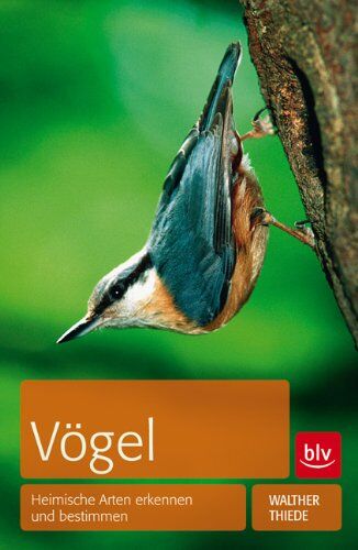 Walther Thiede - Vögel: Heimische Arten erkennen und bestimmen - Preis vom 09.10.2026 07:28:09 h