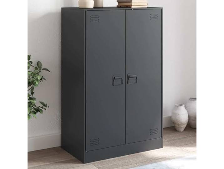 RJPLMFV Anrichte, Anthrazit, 67 x 39 x 107 cm, Stahl TV-Lowboard, Aufbewahrung aus Stahl, 2 Griffe, einfache Reinigung, Wandmontage erforderlich