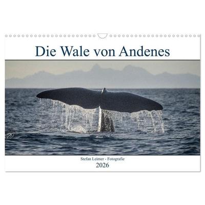 Die Wale von Andenes (Wandkalender 2026 DIN A3 quer), CALVENDO Monatskalender