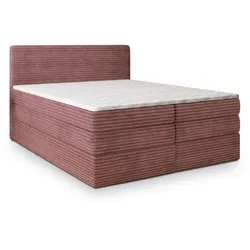 BOXSPRINGBETT LUNERA 180x200 cm mit Matratze und Topper - Rosa