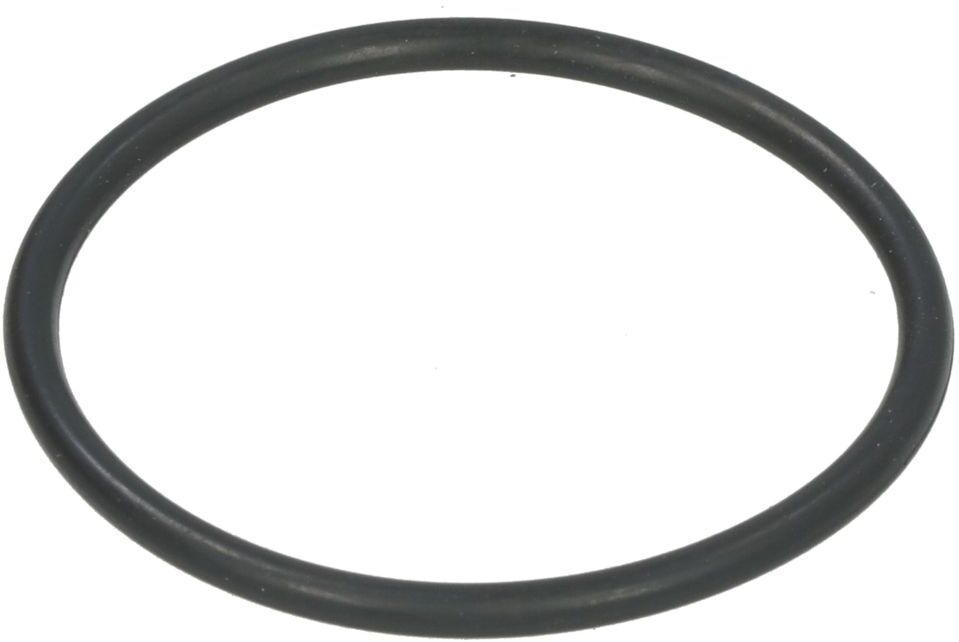 O-Ring LEMA LE101631