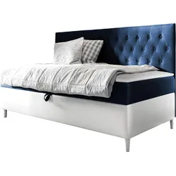 BOXBETT Filip Junior 2 - H3