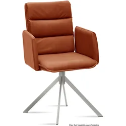 ARMLEHNSTUHL (6er-Set) Dorree 52x92x60 Edelstahl/Cognac
