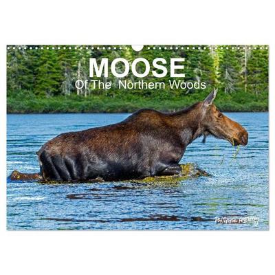 MOOSE Of The Northern Woods (Wall Calendar 2026 DIN A3 landscape), CALVENDO 12 Month Wall Calendar