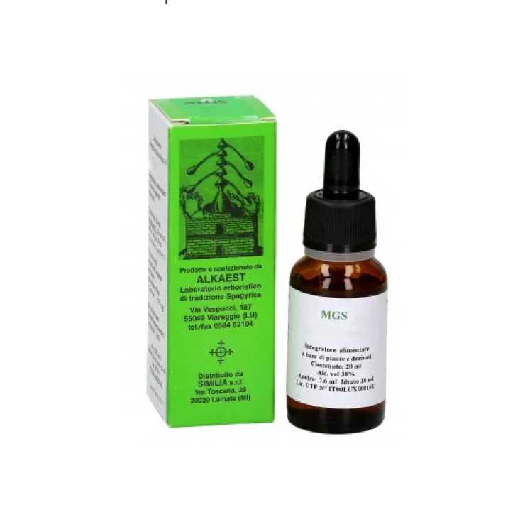 ALKAEST Srl Alkaest, MGS16 Ribes Macerato Glicerico SPG, 20 ml