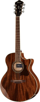 Ibanez AE245-NT Natur Hochglanz