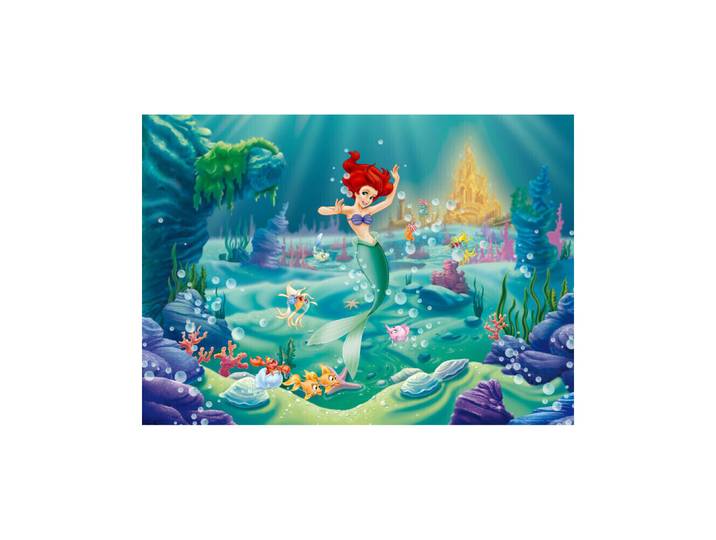 Poster Xxl Intisse Ariel La Petite Sirène Princesse Disney 155x115 Cm