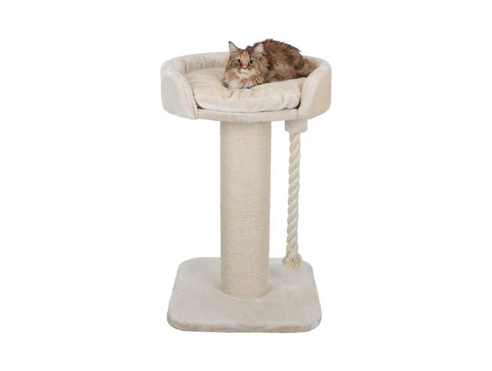 Kratzbaum TRIXIE, beige (beige, natur), B:60cm H:100cm T:60cm, Plüsch, Sisal, Kratzbäume, Kratzbaum