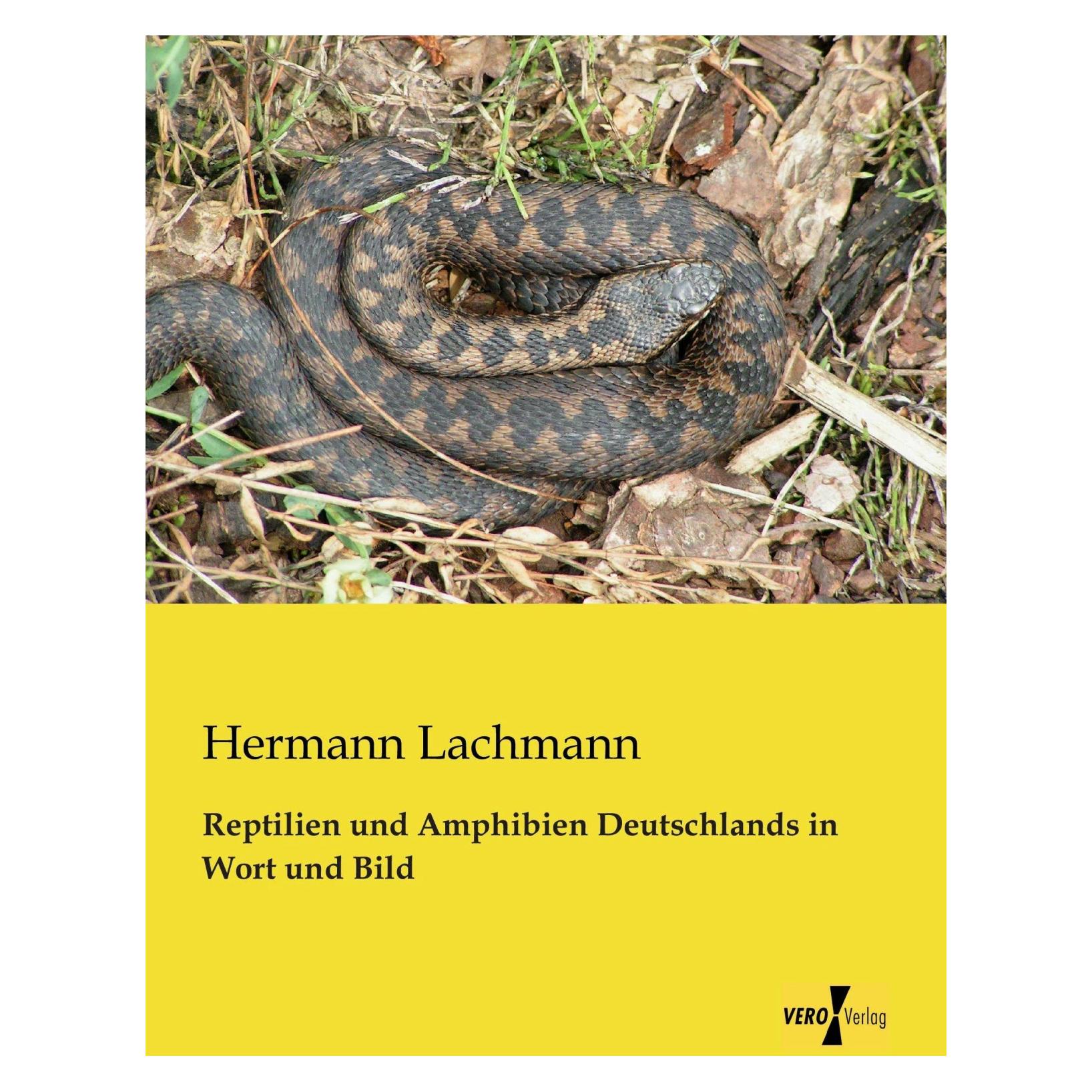 Vero Reptilien und Amphibien Deutschlands in Wort und Bild (Deutsch, Softcover, Hermann Lachmann) (41807548)