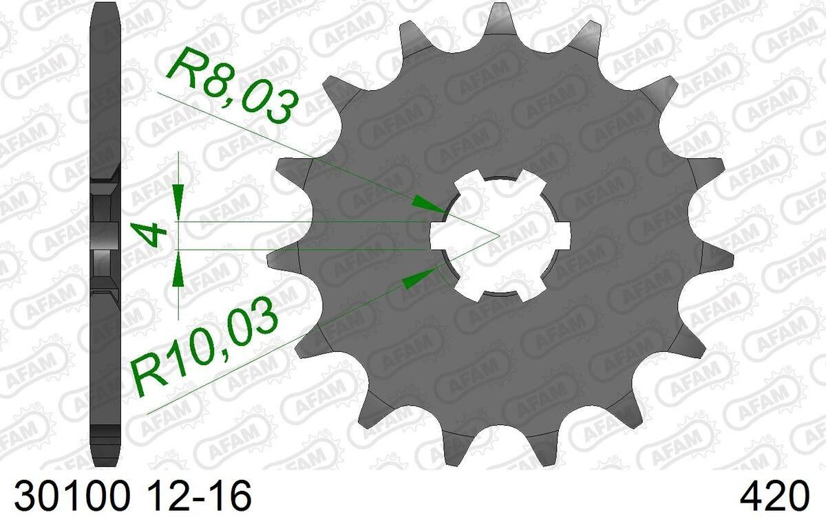AFAM 30100-13 Chain Pinion