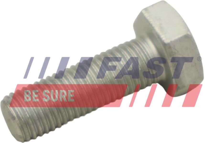 Fast Schraube, Bremsscheibe Ft30601 Für Iveco