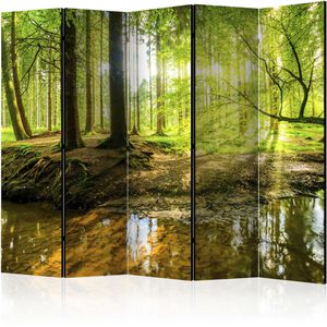 Artgeist Paravent Forest Lake II, innen, 5-teilig, aus Holz / Stoff, Akustik, zweiseitig, 225 x 172cm
