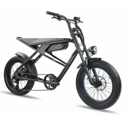 LLobe LLobe 20" E-Bike Moto 2.6