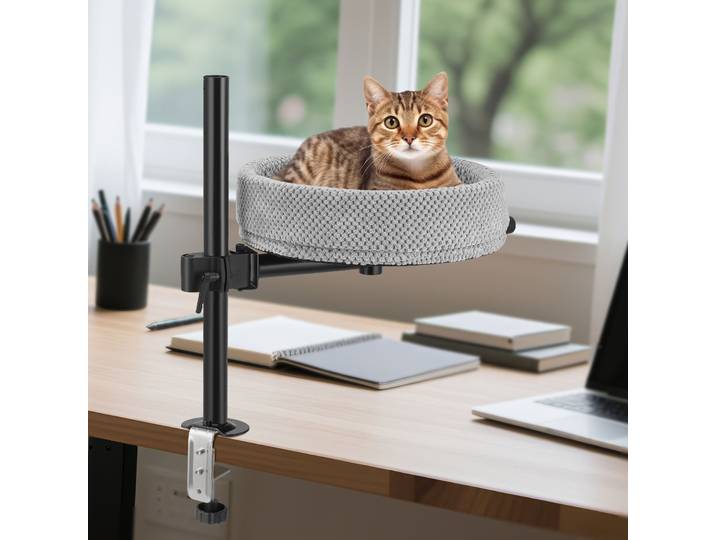Bureau pour chat lit bureau perche pour chat confortable doux rond bureau lit pour chat support de Table nid pour chat avec tapis pour animaux de compagnie bureau travail lit pour chat