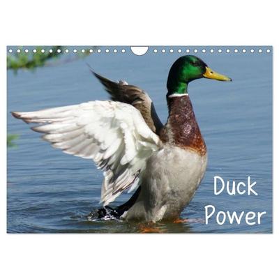 Duck Power (Wandkalender 2027 DIN A4 quer), CALVENDO Monatskalender