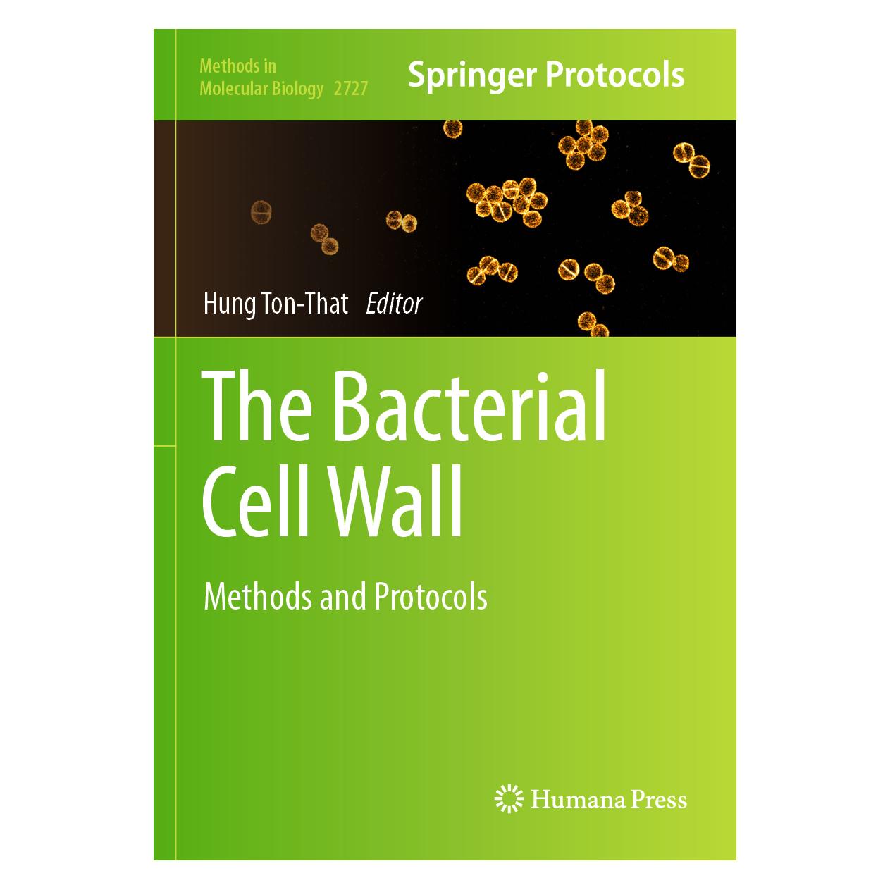 Springer The Bacterial Cell Wall (Englisch, Softcover, Hung Ton-That) (57148645)