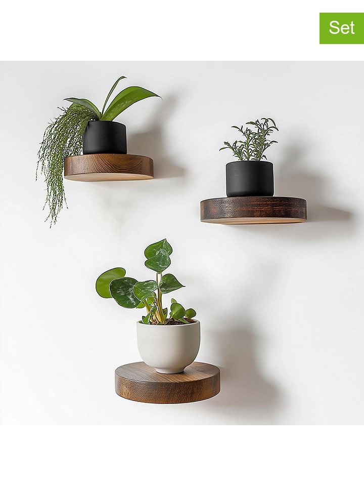 Scandinavia Concept 3er-Set: Wandregale in Hellbraun - Ø 12 cm - onesize