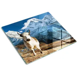 GLASPLATTE 60x52 cm Berge Wie