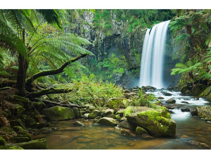 Fototapete PAPERMOON Wasserfall im Wald , bunt, B:2,5m L:1,86m, Vlies, Tapeten, Fototapete