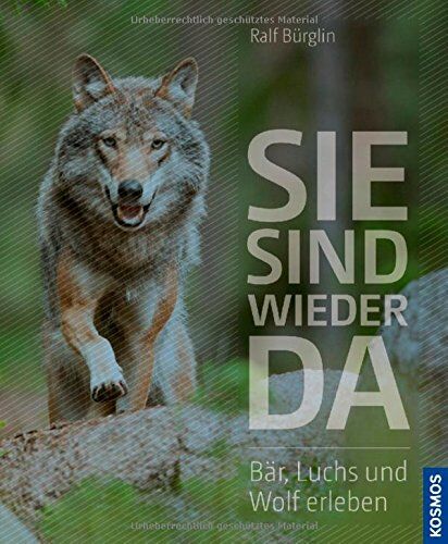Ralf Bürglin - Sie sind wieder da: Bär, Luchs und Wolf erleben - Preis vom 15.10.2026 23:06:25 h