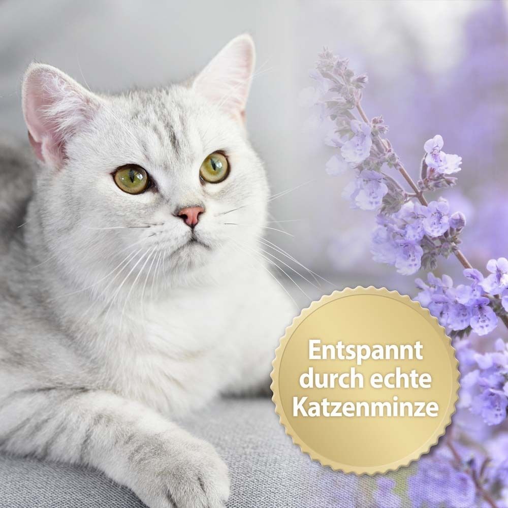Felisept Home Comf.Beruhigungspray f.Katzen 100 ml Spray