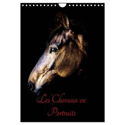Chevaux en Portraits (Calendrier mural 2027 DIN A4 horizontal), CALVENDO calendrier mensuel