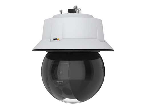 Axis Q6315-LE 50 Hz - Netzwerk-Überwachungskamera - PTZ - Außenbereich - vandalismusgeschützt - Farbe (Tag&Nacht) (01924-003)