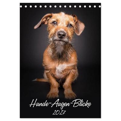 Hunde-Augen-Blicke (Tischkalender 2027 DIN A5 hoch), CALVENDO Monatskalender