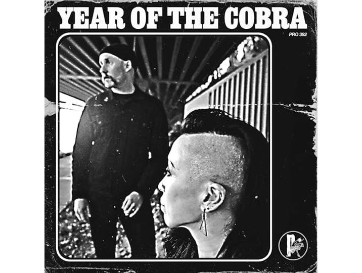 Year Of The Cobra