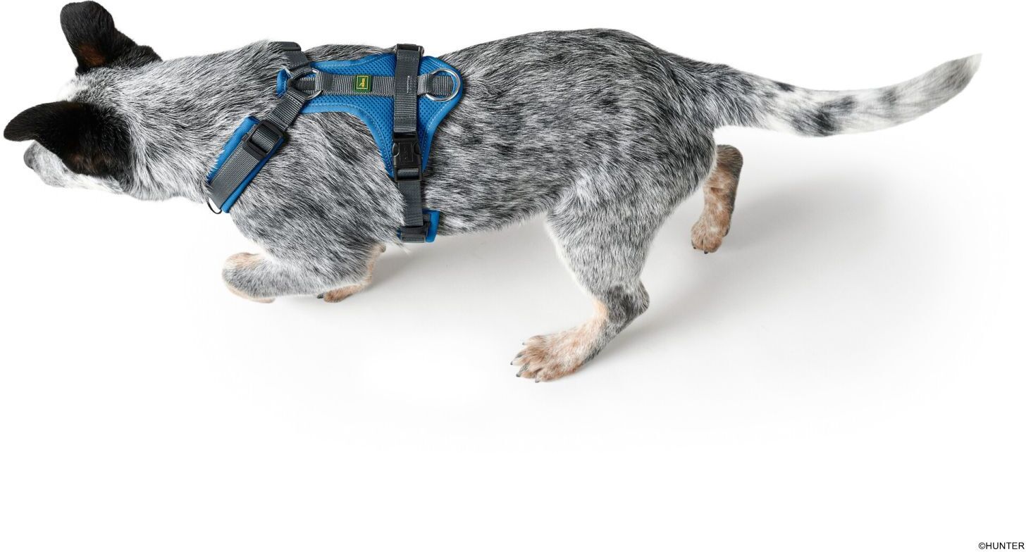 DOG SPORT HUNTER Geschirr Maldon L, blau/grau