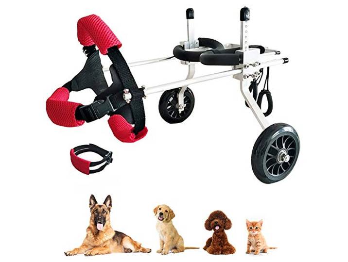 Hunderollstuhl für Hinterbeine Hinterfüße Hunde, Rollstuhl Hunderolli Gehhilfe Hundegehilfe Rollwagen Hundewagen Haustier Rolli für Behinderte ältere Hunde und Verletzten, 1-20 kg (M)