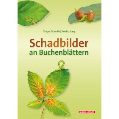 Schadbilder an Buchenblättern, Sonstige von Gregor Schmitz,Sando Jung, Quelle & Meyer, 978-3-494-01929-1
