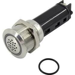 TRU COMPONENTS 718852 Signalgeber Geräusch-Entwicklung: 80 dB Spannung: 24 V DC/AC Intervallton 1 St.