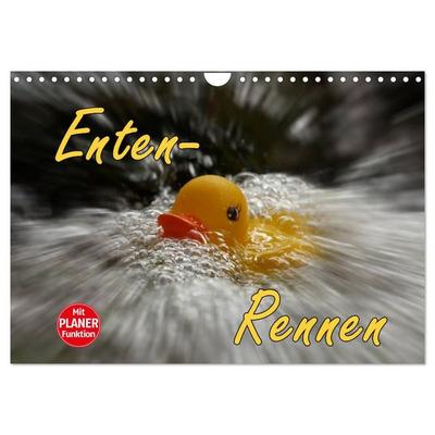 Enten-Rennen (Wandkalender 2026 DIN A4 quer), CALVENDO Monatskalender